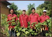 rutu farm
